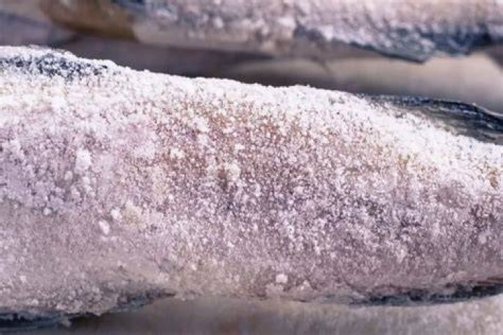 How can you tell if frozen fish is bad?